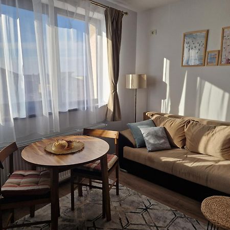 Craitelor Boutique Airport Apartment オトペニ エクステリア 写真