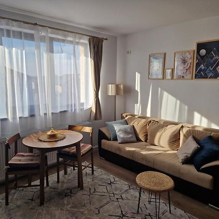 Craitelor Boutique Airport Apartment オトペニ エクステリア 写真