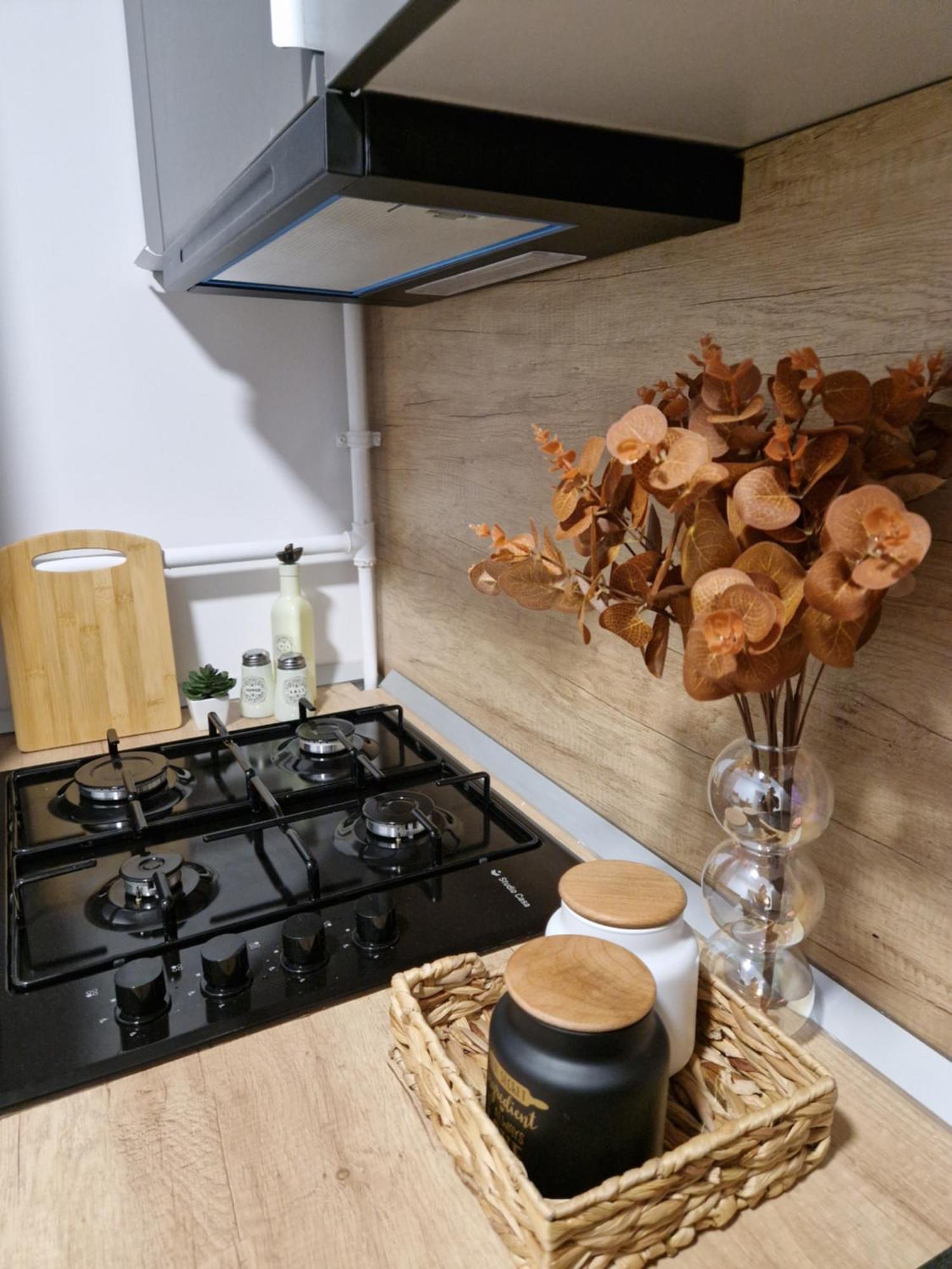 Craitelor Boutique Airport Apartment オトペニ エクステリア 写真