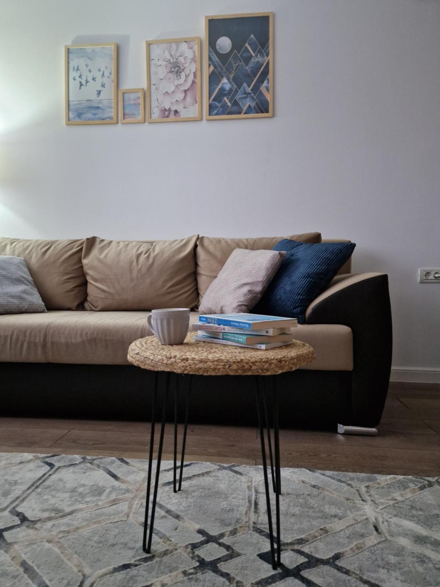 Craitelor Boutique Airport Apartment オトペニ エクステリア 写真