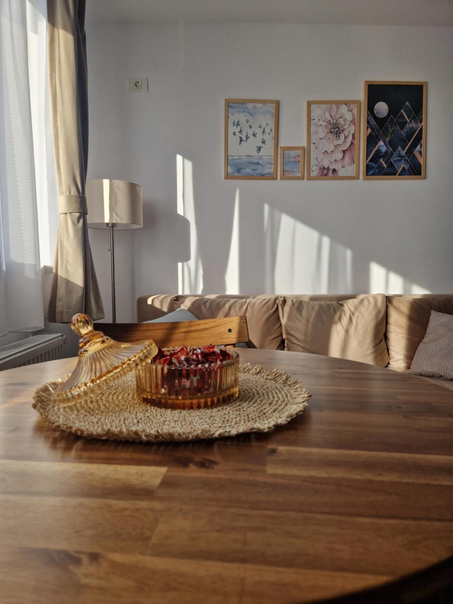 Craitelor Boutique Airport Apartment オトペニ エクステリア 写真