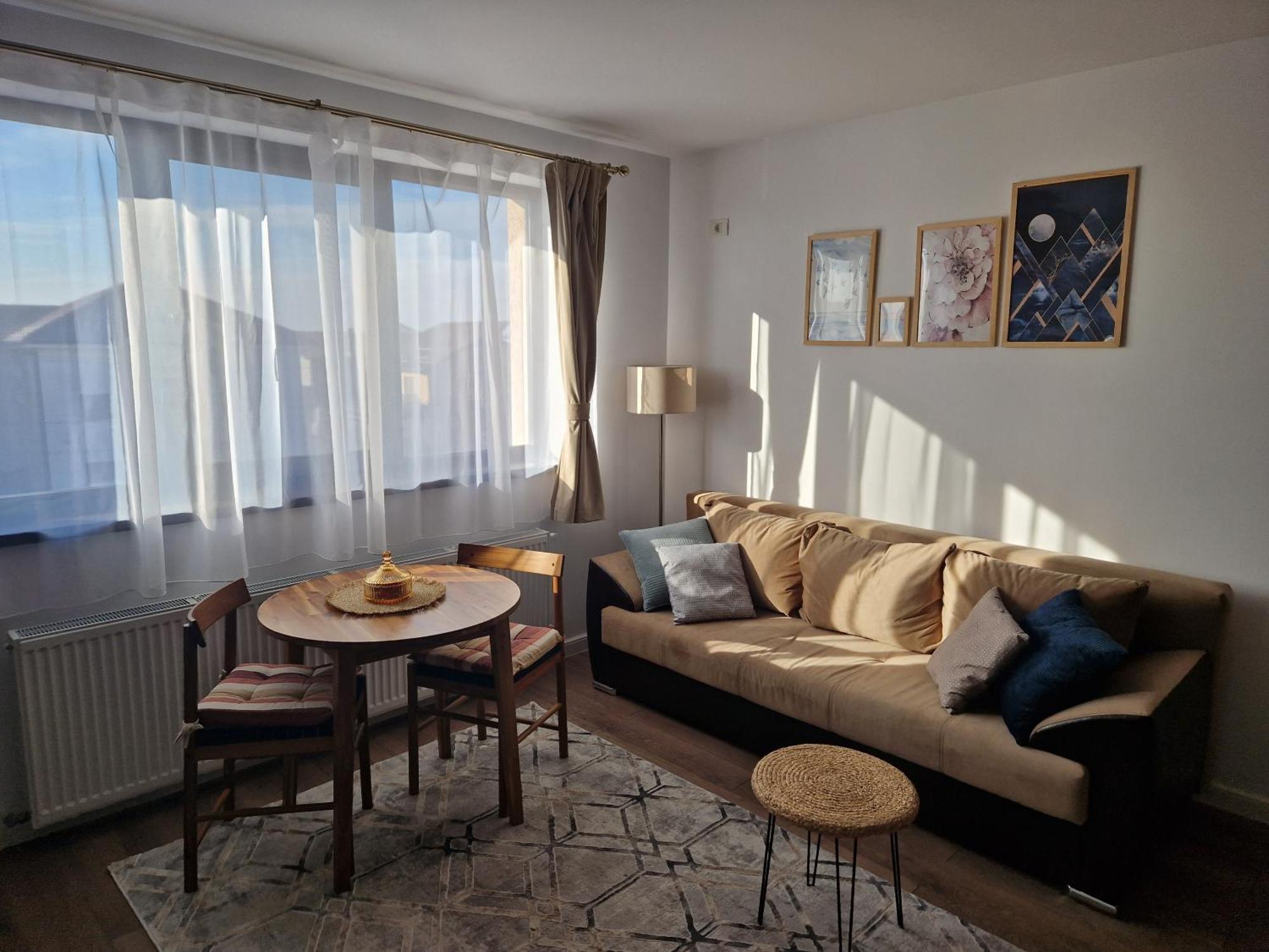 Craitelor Boutique Airport Apartment オトペニ エクステリア 写真
